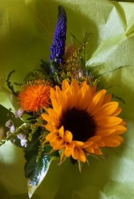Mans Sunflowers Buttonhole